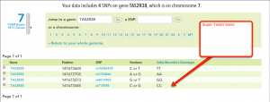 Sophy's Super Taster Gene DNA Data